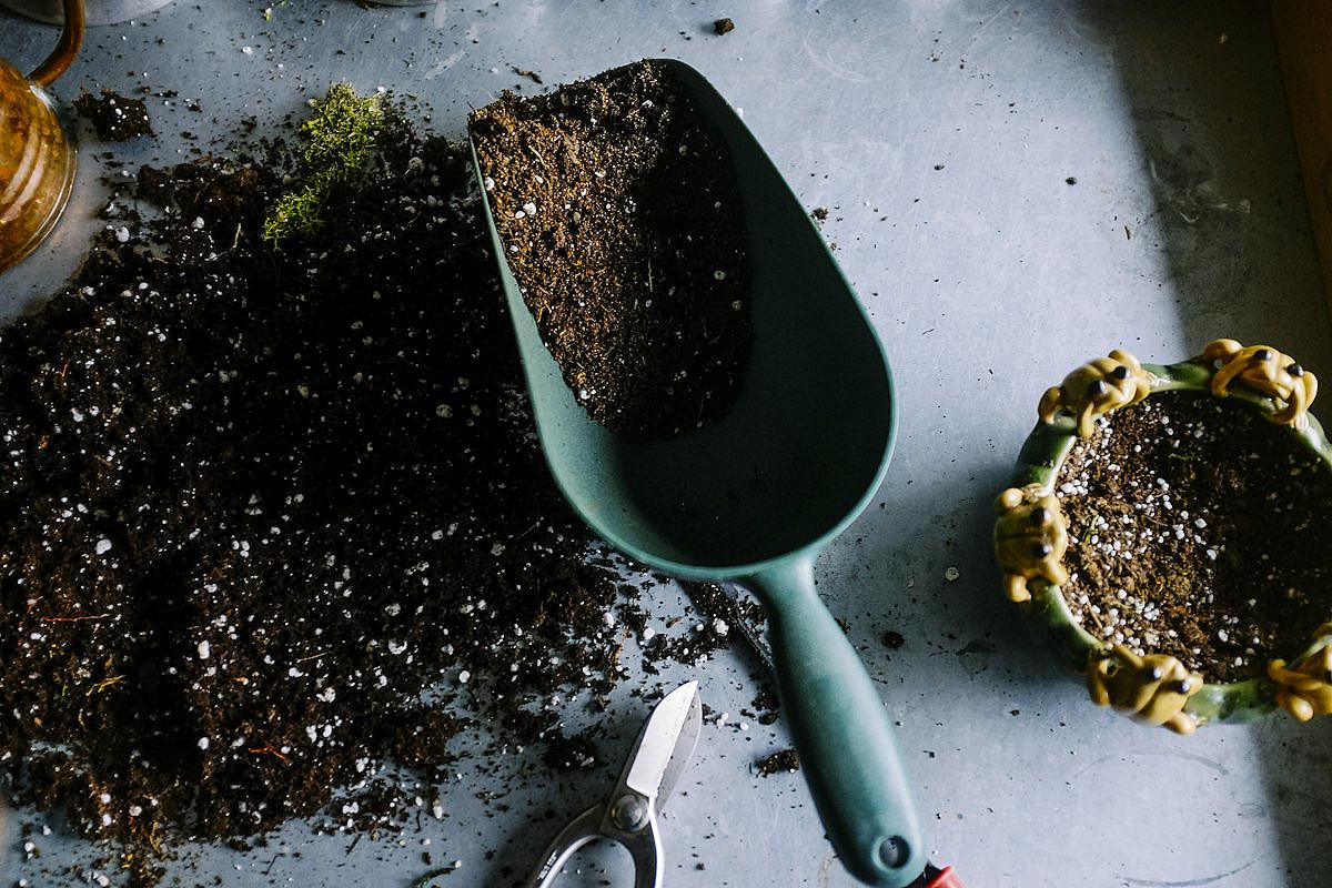 Entretien du Jardin Saison par Saison