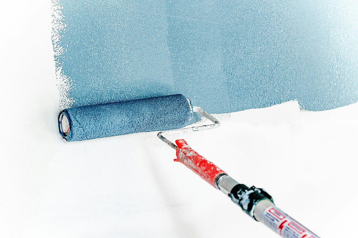 Nouveaux Services : Peinture et Jardinage Disponibles